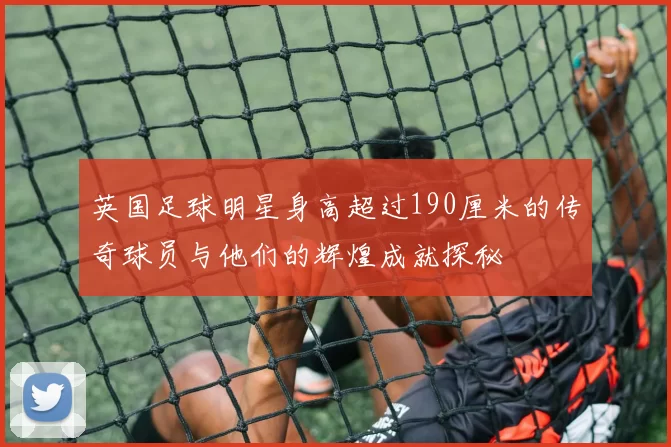 英国足球明星身高超过190厘米的传奇球员与他们的辉煌成就探秘