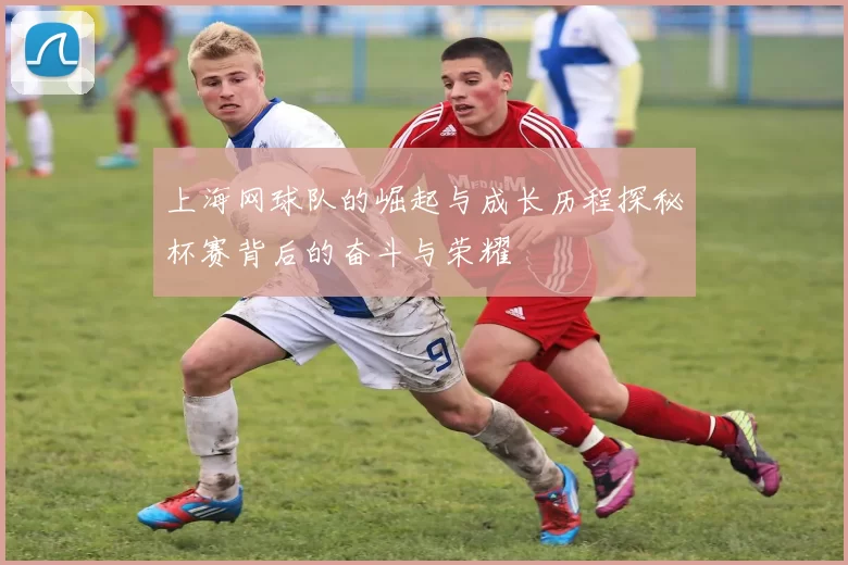 上海网球队的崛起与成长历程探秘杯赛背后的奋斗与荣耀