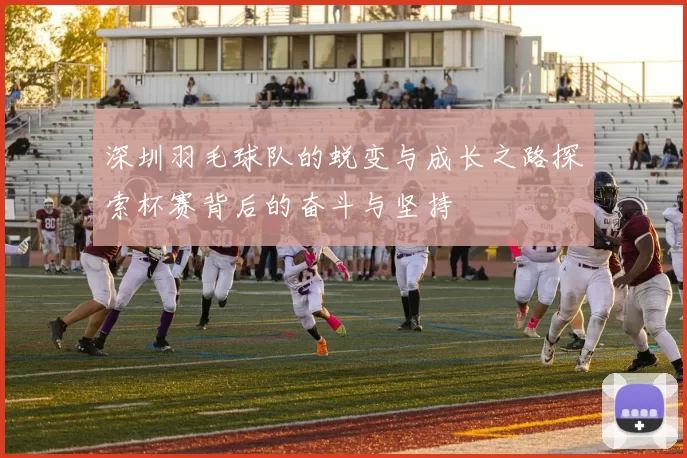 深圳羽毛球队的蜕变与成长之路探索杯赛背后的奋斗与坚持