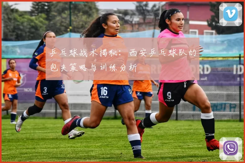 乒乓球战术揭秘：西安乒乓球队的包夹策略与训练分析