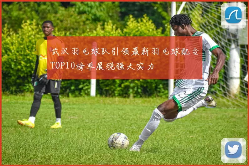 武汉羽毛球队引领最新羽毛球配合TOP10榜单展现强大实力