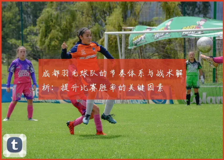 成都羽毛球队的节奏体系与战术解析：提升比赛胜率的关键因素