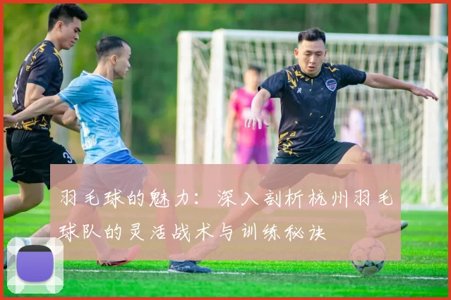 羽毛球的魅力：深入剖析杭州羽毛球队的灵活战术与训练秘诀