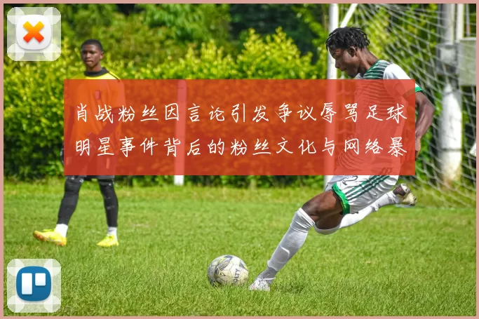 肖战粉丝因言论引发争议辱骂足球明星事件背后的粉丝文化与网络暴力探讨