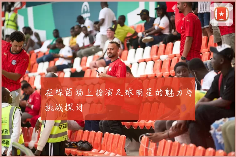 在绿茵场上扮演足球明星的魅力与挑战探讨