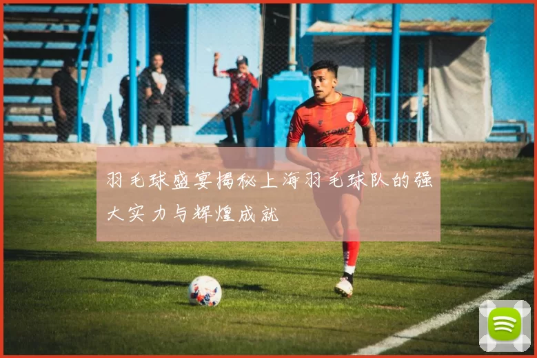 羽毛球盛宴揭秘上海羽毛球队的强大实力与辉煌成就