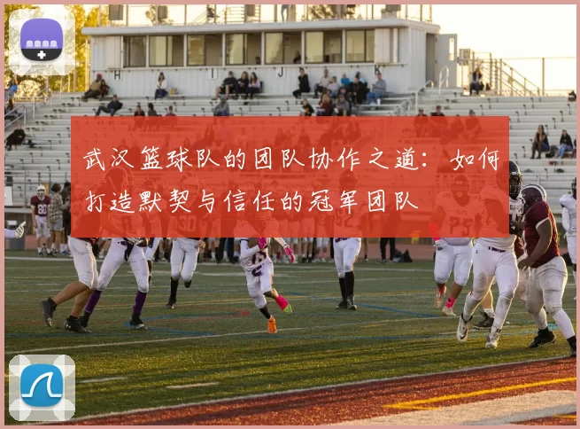 武汉篮球队的团队协作之道：如何打造默契与信任的冠军团队