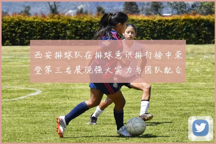 西安排球队在排球意识排行榜中荣登第三名展现强大实力与团队配合