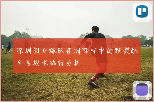 深圳羽毛球队在洲际杯中的默契配合与战术执行分析
