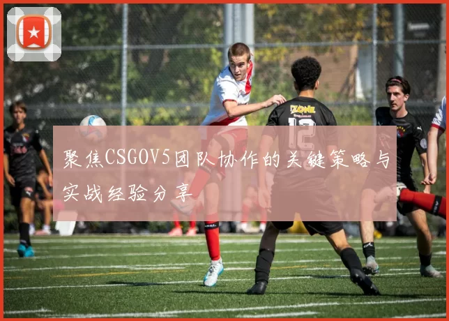 聚焦CSGOV5团队协作的关键策略与实战经验分享