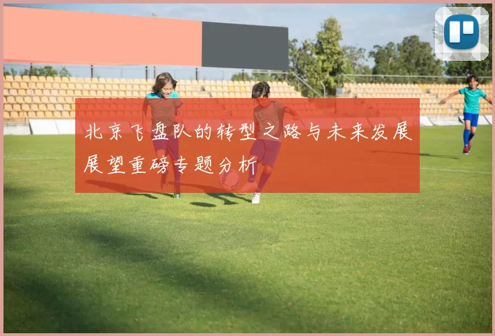北京飞盘队的转型之路与未来发展展望重磅专题分析