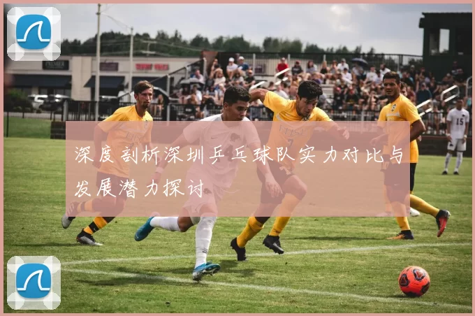 深度剖析深圳乒乓球队实力对比与发展潜力探讨