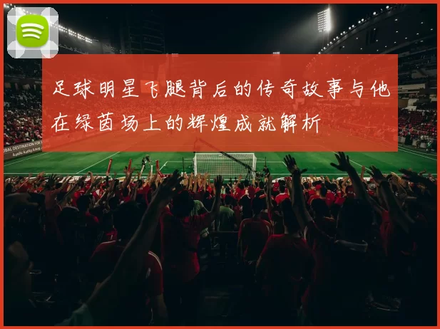 足球明星飞腿背后的传奇故事与他在绿茵场上的辉煌成就解析
