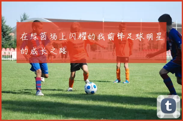 在绿茵场上闪耀的我前锋足球明星的成长之路
