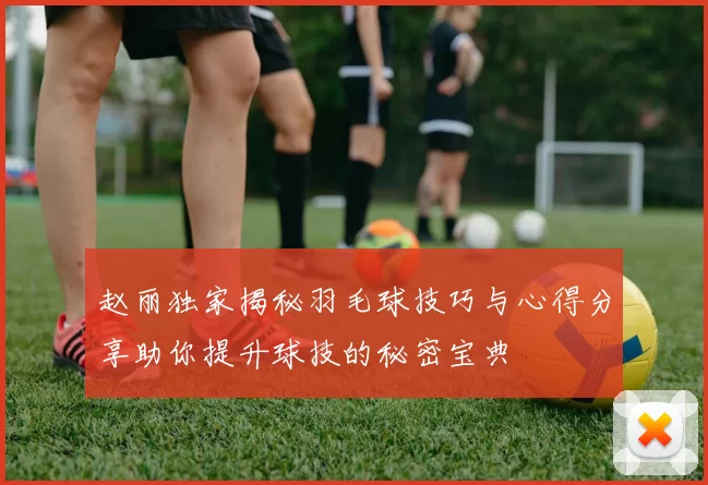 赵丽独家揭秘羽毛球技巧与心得分享助你提升球技的秘密宝典