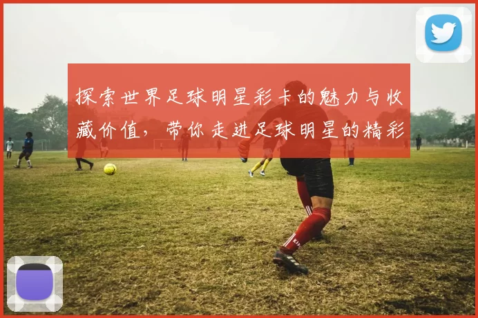 探索世界足球明星彩卡的魅力与收藏价值，带你走进足球明星的精彩世界