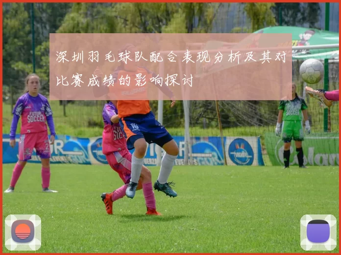 深圳羽毛球队配合表现分析及其对比赛成绩的影响探讨
