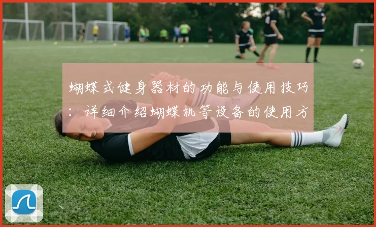 蝴蝶式健身器材的功能与使用技巧：详细介绍蝴蝶机等设备的使用方法与效果