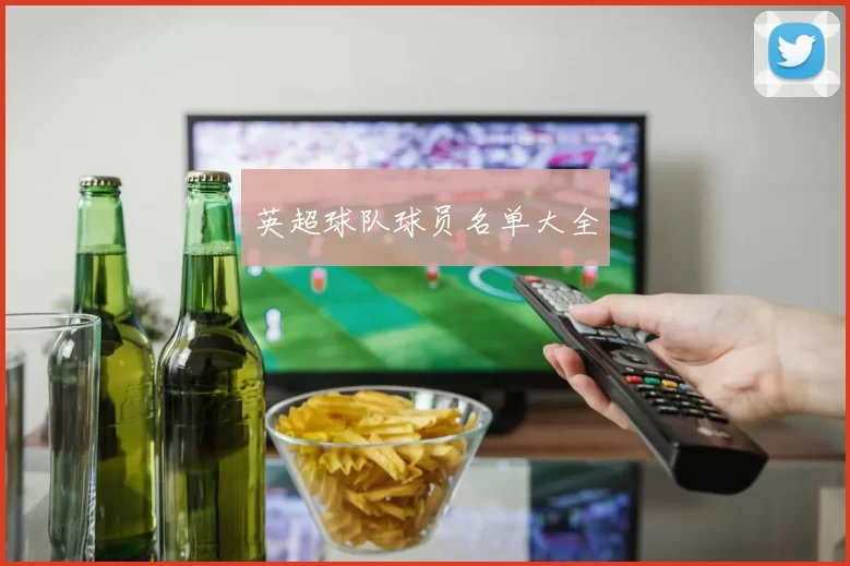 英超球队球员名单大全