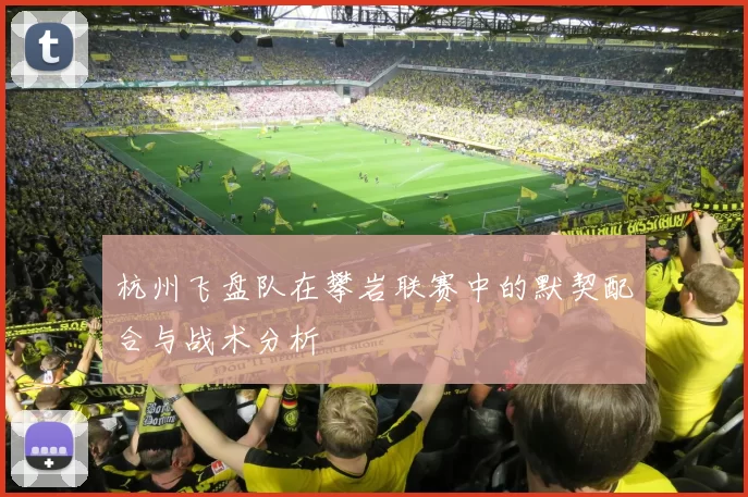 杭州飞盘队在攀岩联赛中的默契配合与战术分析