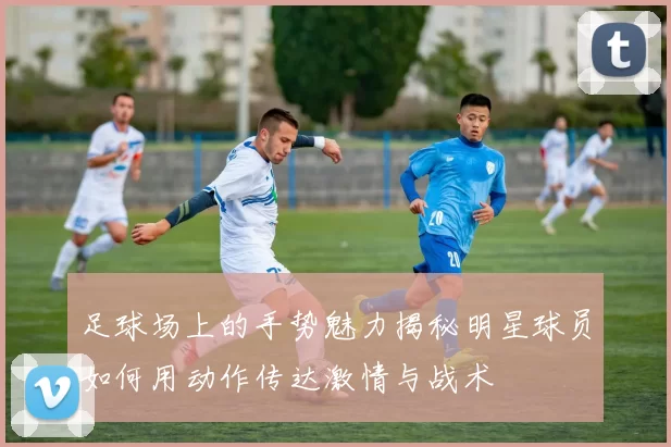 足球场上的手势魅力揭秘明星球员如何用动作传达激情与战术