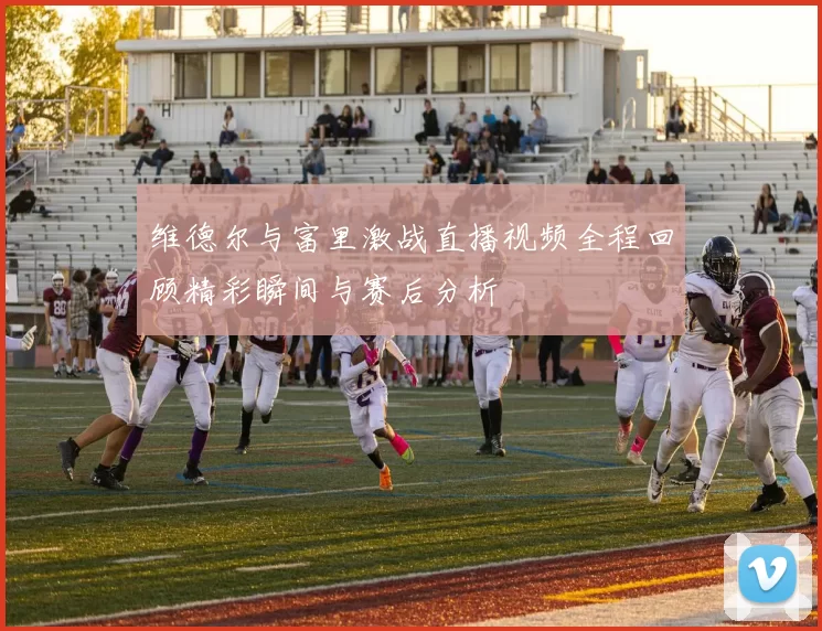 维德尔与富里激战直播视频全程回顾精彩瞬间与赛后分析