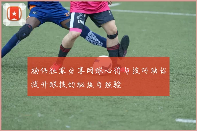 杨伟独家分享网球心得与技巧助你提升球技的秘诀与经验