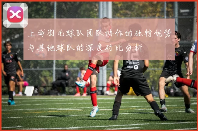 上海羽毛球队团队协作的独特优势与其他球队的深度对比分析