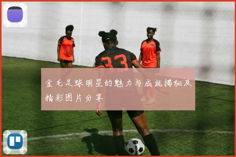金毛足球明星的魅力与成就揭秘及精彩图片分享