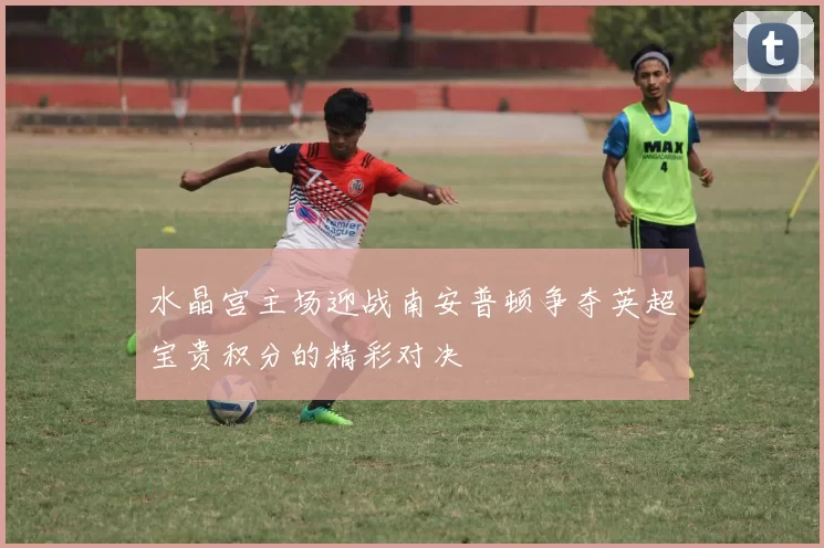 水晶宫主场迎战南安普顿争夺英超宝贵积分的精彩对决